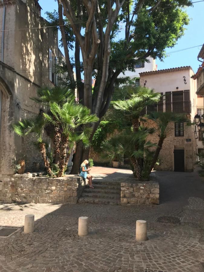 דירות Antibes Tres Belle Situation ! מראה חיצוני תמונה